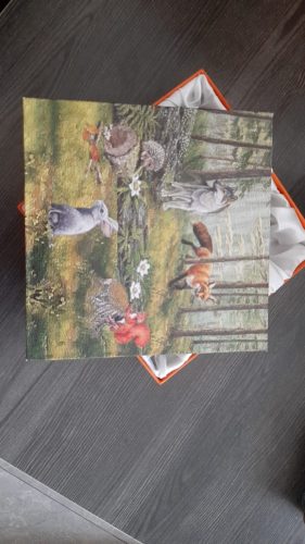 Подарочная коробка - Набор Лесные зверята на 5 изделий У010030 фото