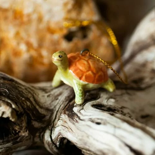 Черепаха (мини) Сафари фото